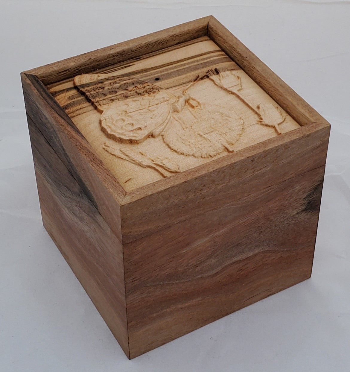 Walnut keepsake box or pet urn with a carved Butterfly top cover